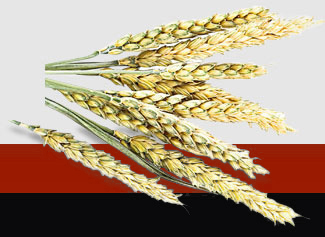 ��ҳ| 918�����ü����й��ٷ���վ