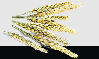 ��ҳ| 918�����ü����й��ٷ���վ