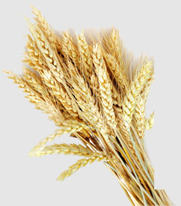 ��ҳ| 918�����ü����й��ٷ���վ