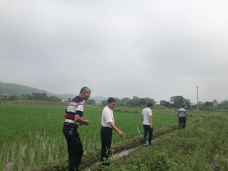 ��ҳ| 918�����ü����й��ٷ���վ