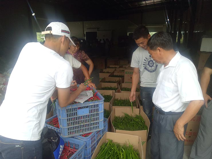 ��ҳ| 918�����ü����й��ٷ���վ