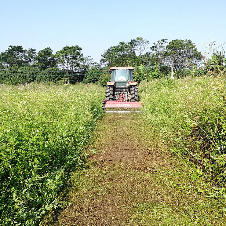 ��ҳ| 918�����ü����й��ٷ���վ