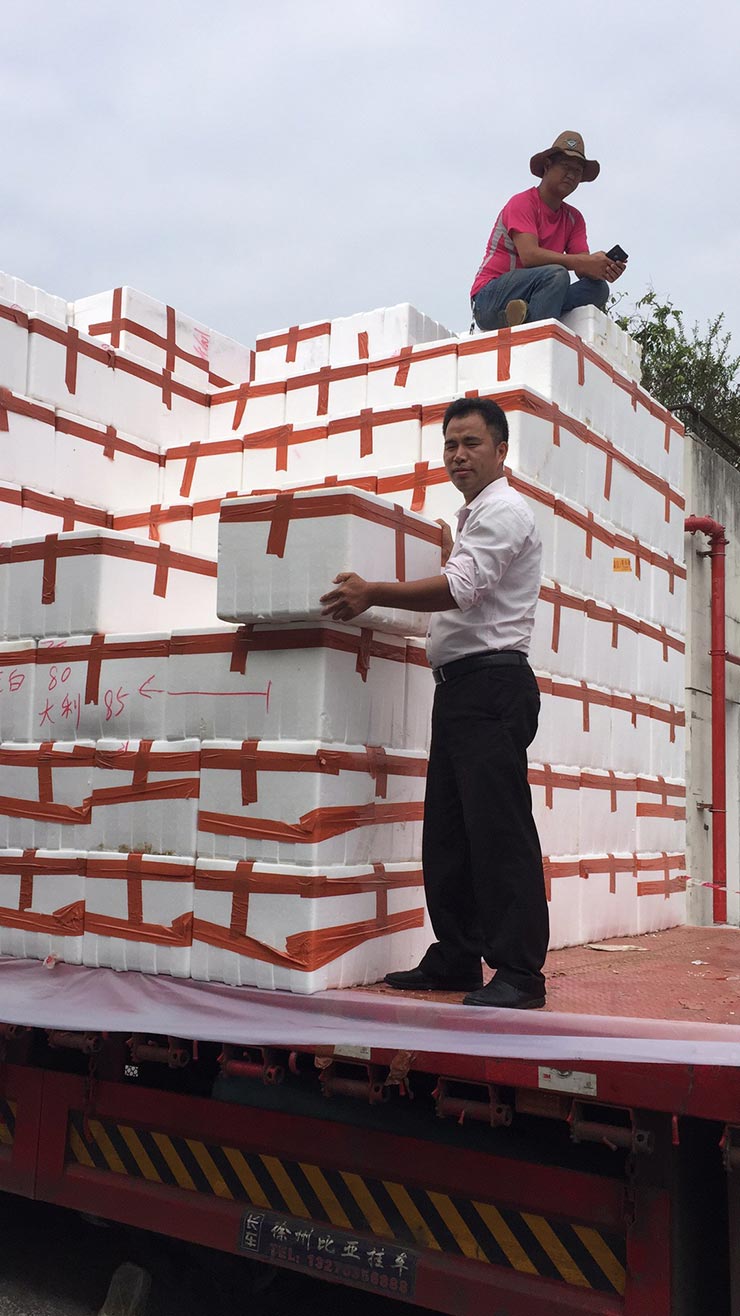 ��ҳ| 918�����ü����й��ٷ���վ