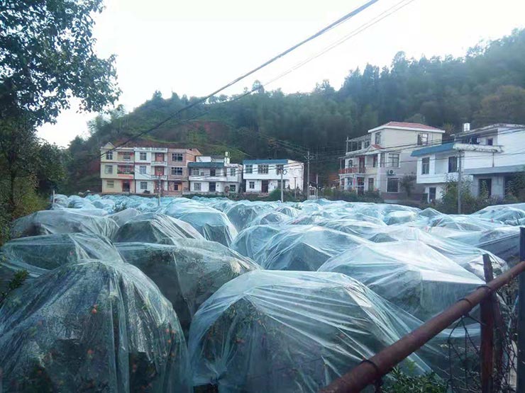 ��ҳ| 918�����ü����й��ٷ���վ