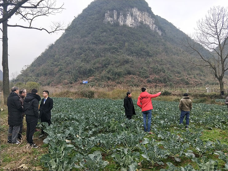 ��ҳ| 918�����ü����й��ٷ���վ