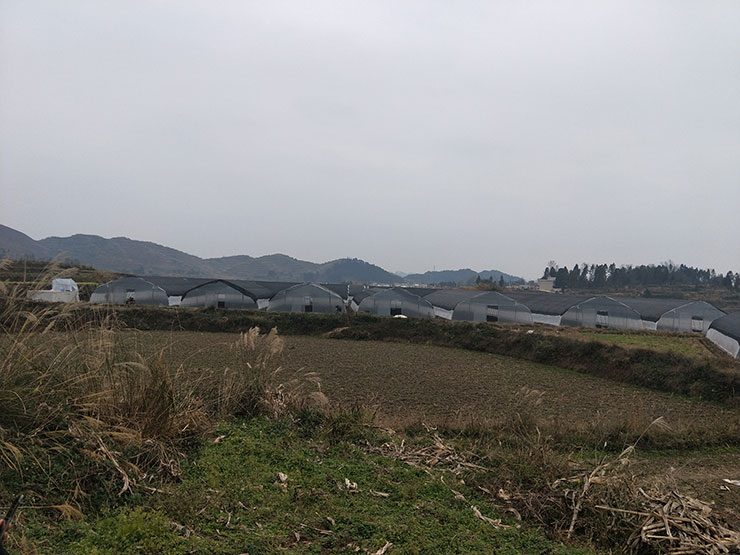 ��ҳ| 918�����ü����й��ٷ���վ