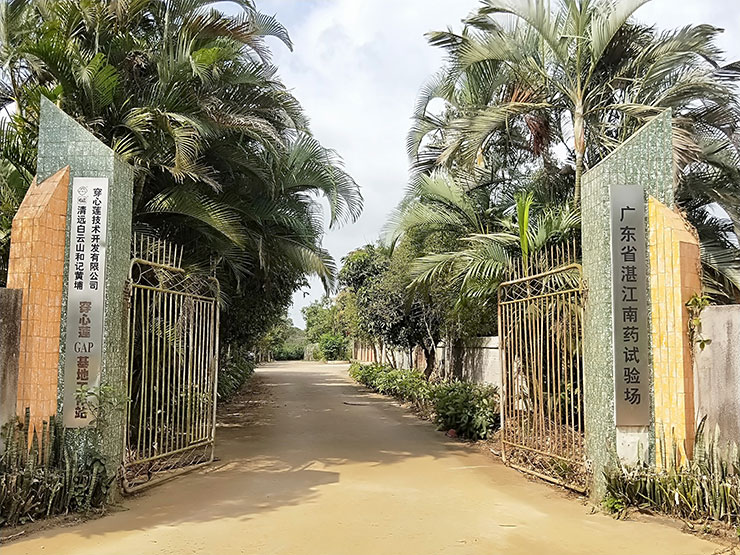 ��ҳ| 918�����ü����й��ٷ���վ