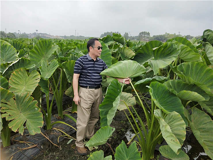 ��ҳ| 918�����ü����й��ٷ���վ