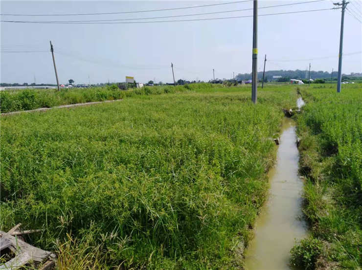 ��ҳ| 918�����ü����й��ٷ���վ