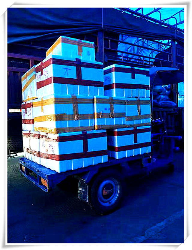 ��ҳ| 918�����ü����й��ٷ���վ