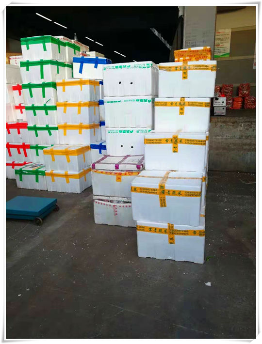 ��ҳ| 918�����ü����й��ٷ���վ