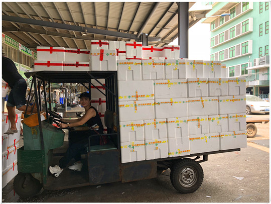 ��ҳ| 918�����ü����й��ٷ���վ