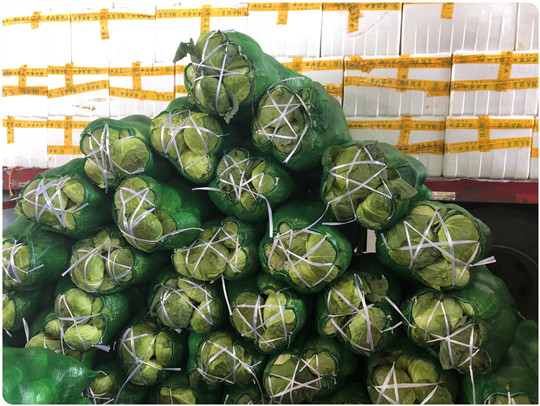 ��ҳ| 918�����ü����й��ٷ���վ