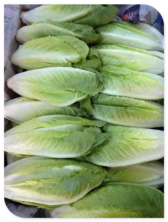 ��ҳ| 918�����ü����й��ٷ���վ