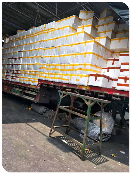 ��ҳ| 918�����ü����й��ٷ���վ