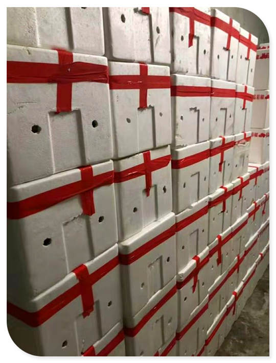 ��ҳ| 918�����ü����й��ٷ���վ