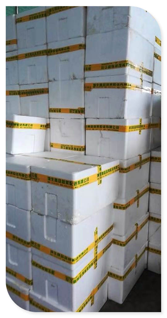 ��ҳ| 918�����ü����й��ٷ���վ