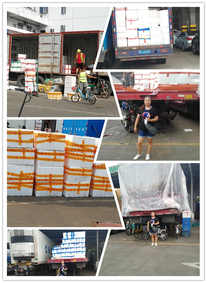 ��ҳ| 918�����ü����й��ٷ���վ