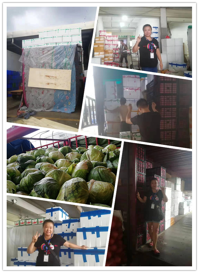 ��ҳ| 918�����ü����й��ٷ���վ