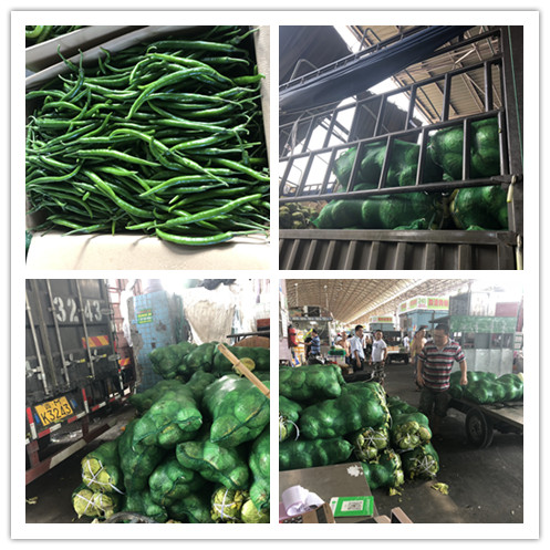 ��ҳ| 918�����ü����й��ٷ���վ