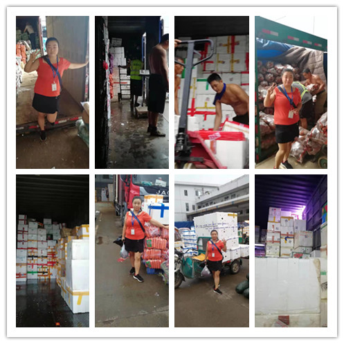 ��ҳ| 918�����ü����й��ٷ���վ