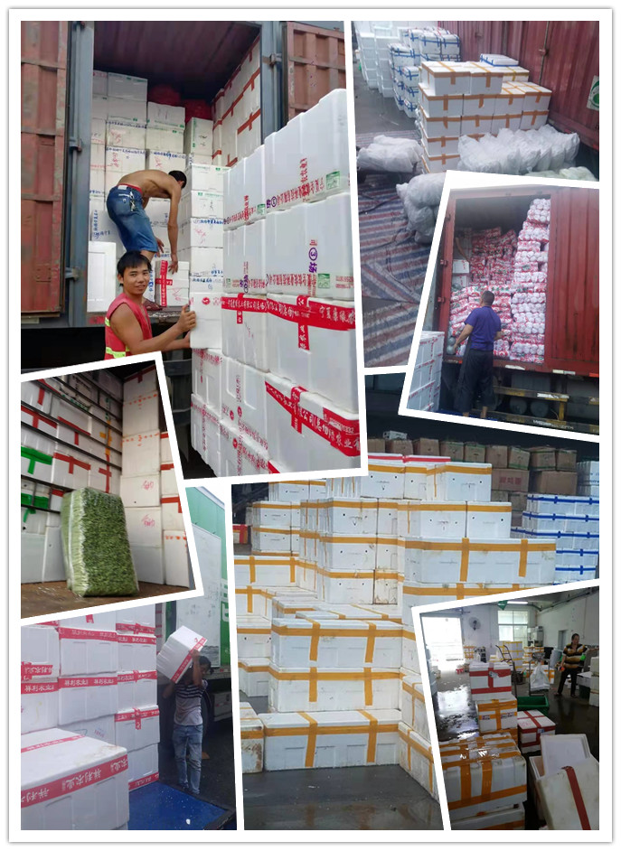 ��ҳ| 918�����ü����й��ٷ���վ