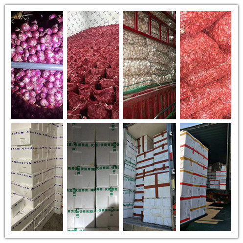 ��ҳ| 918�����ü����й��ٷ���վ