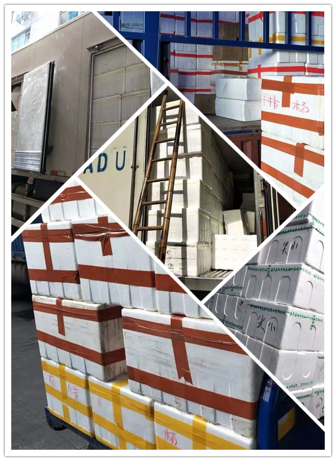 ��ҳ| 918�����ü����й��ٷ���վ