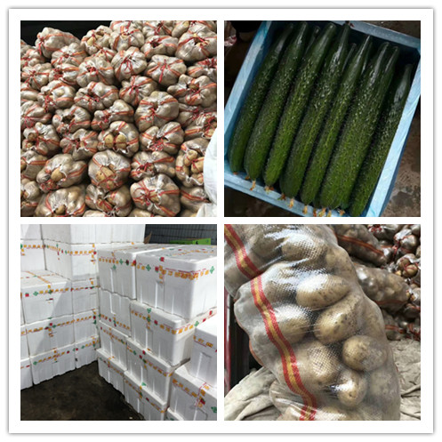 ��ҳ| 918�����ü����й��ٷ���վ