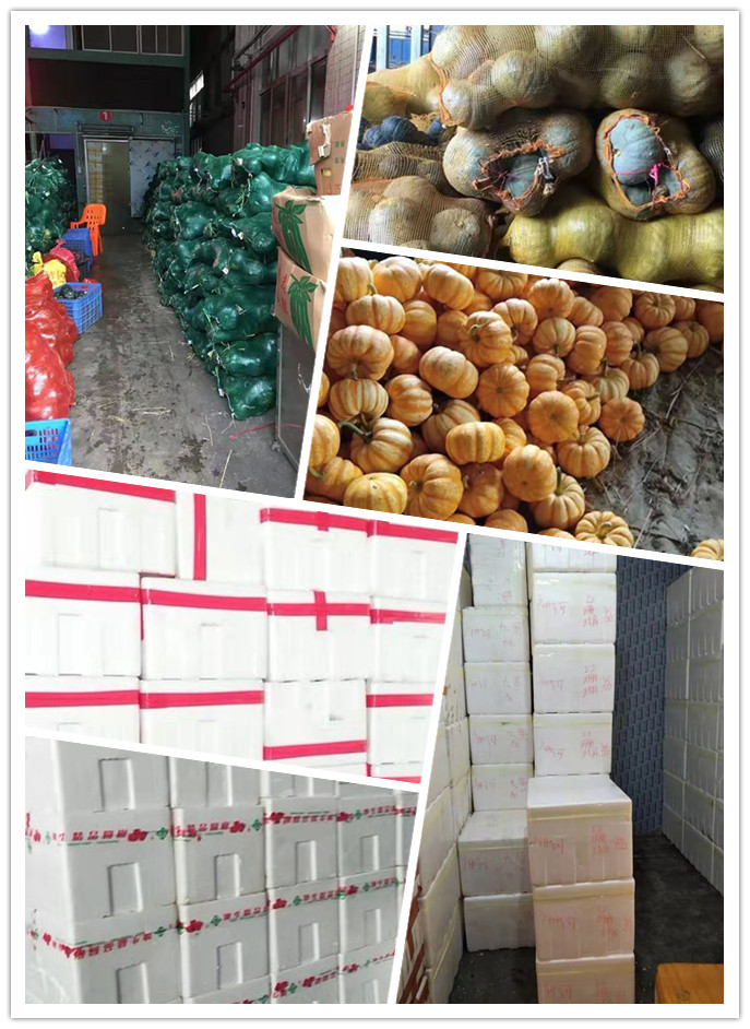 ��ҳ| 918�����ü����й��ٷ���վ