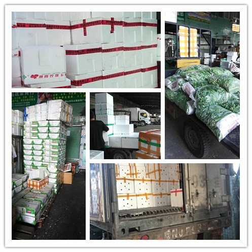 ��ҳ| 918�����ü����й��ٷ���վ