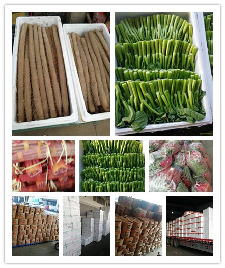 ��ҳ| 918�����ü����й��ٷ���վ