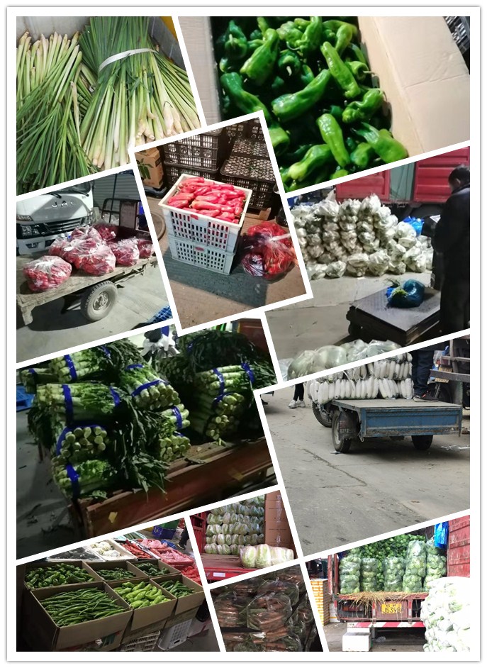 ��ҳ| 918�����ü����й��ٷ���վ