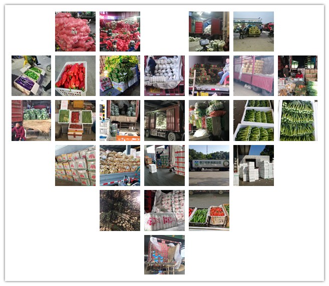 ��ҳ| 918�����ü����й��ٷ���վ