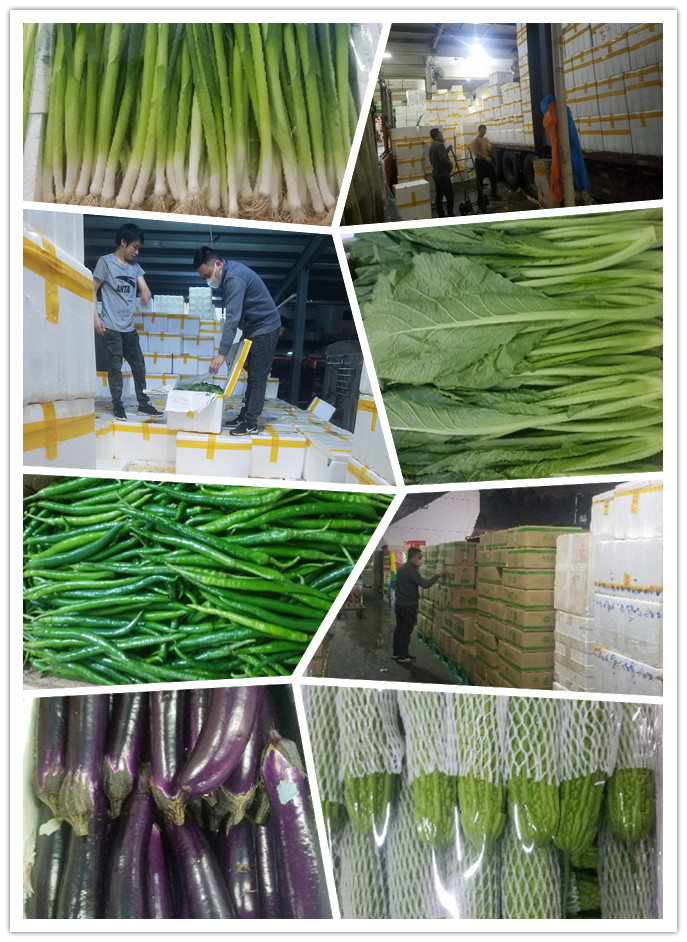 ��ҳ| 918�����ü����й��ٷ���վ