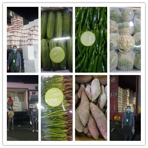 ��ҳ| 918�����ü����й��ٷ���վ