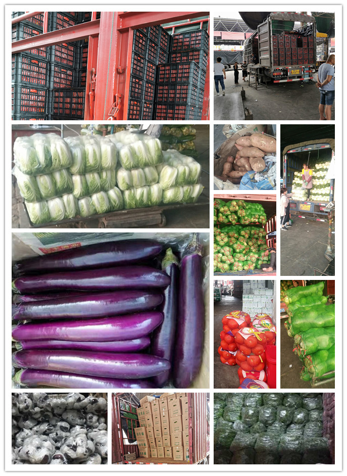 ��ҳ| 918�����ü����й��ٷ���վ