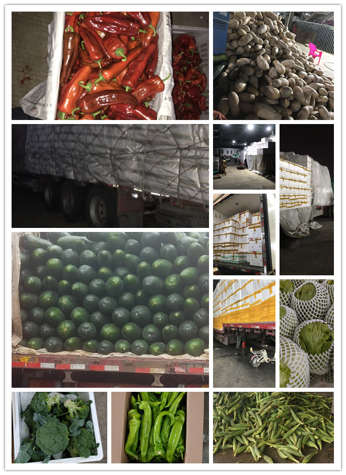 ��ҳ| 918�����ü����й��ٷ���վ