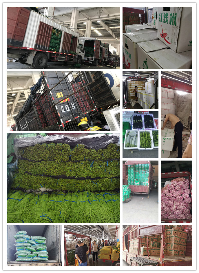 ��ҳ| 918�����ü����й��ٷ���վ