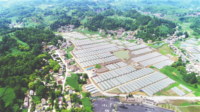 ��ҳ| 918�����ü����й��ٷ���վ