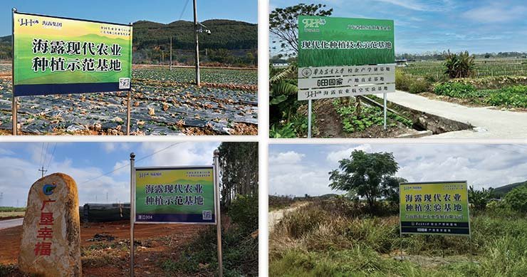 ��ҳ| 918�����ü����й��ٷ���վ