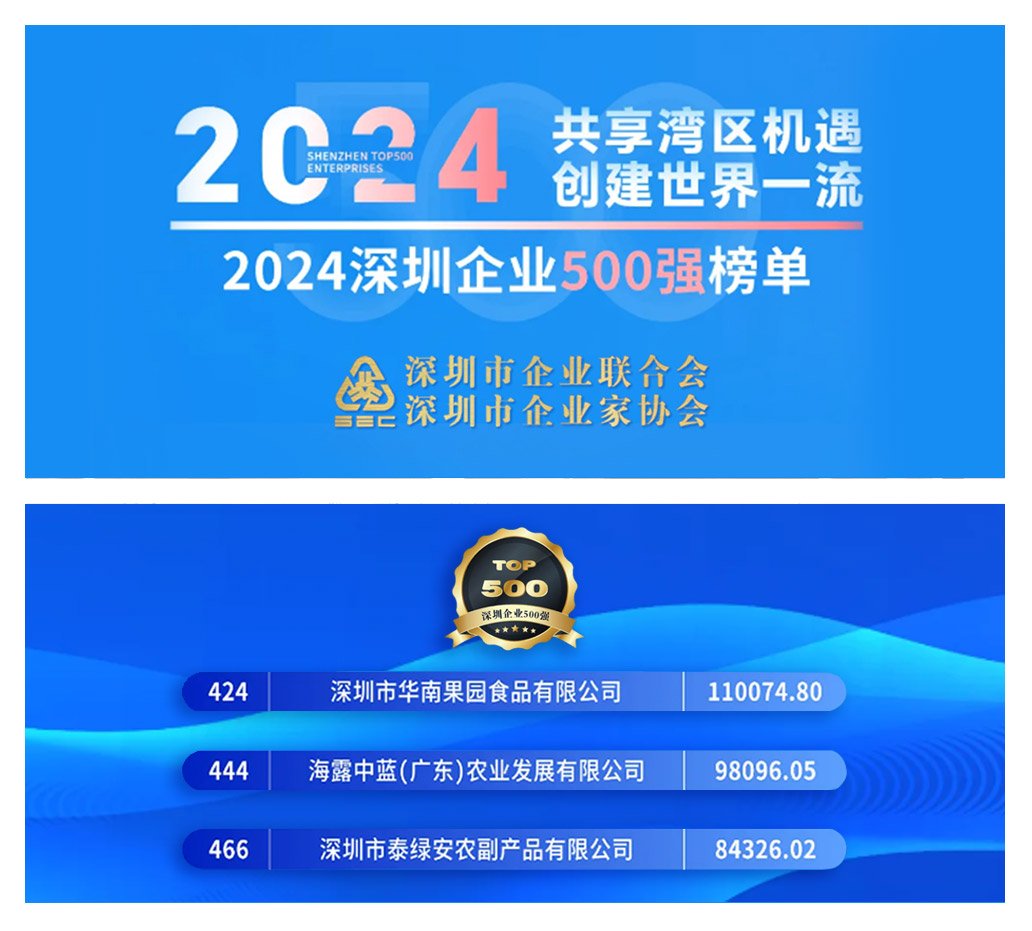 1-241220141S4940 首页| 918博天堂集团中国官方网站