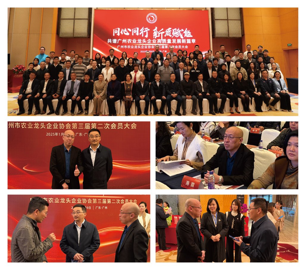 ��ҳ| 918�����ü����й��ٷ���վ