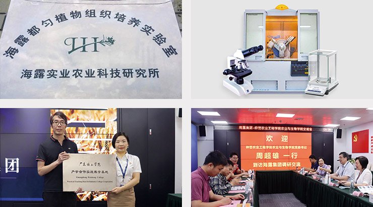 ��ҳ| 918�����ü����й��ٷ���վ