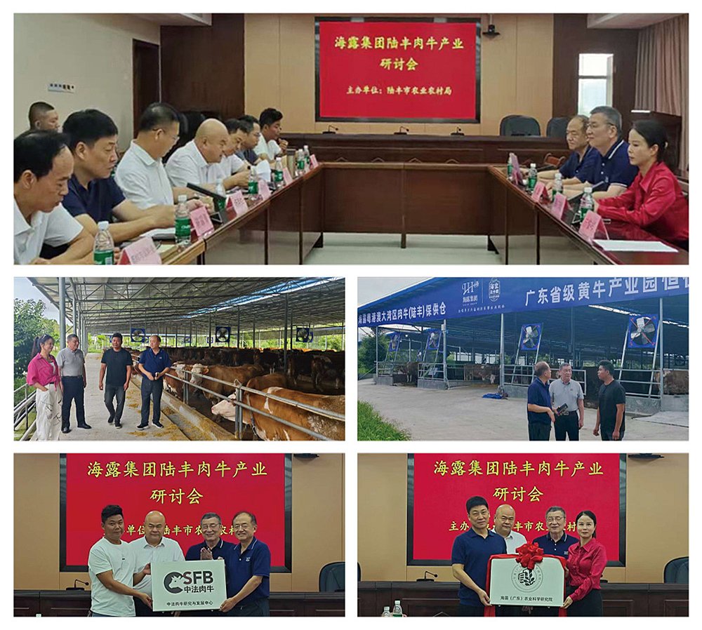 ��ҳ| 918�����ü����й��ٷ���վ