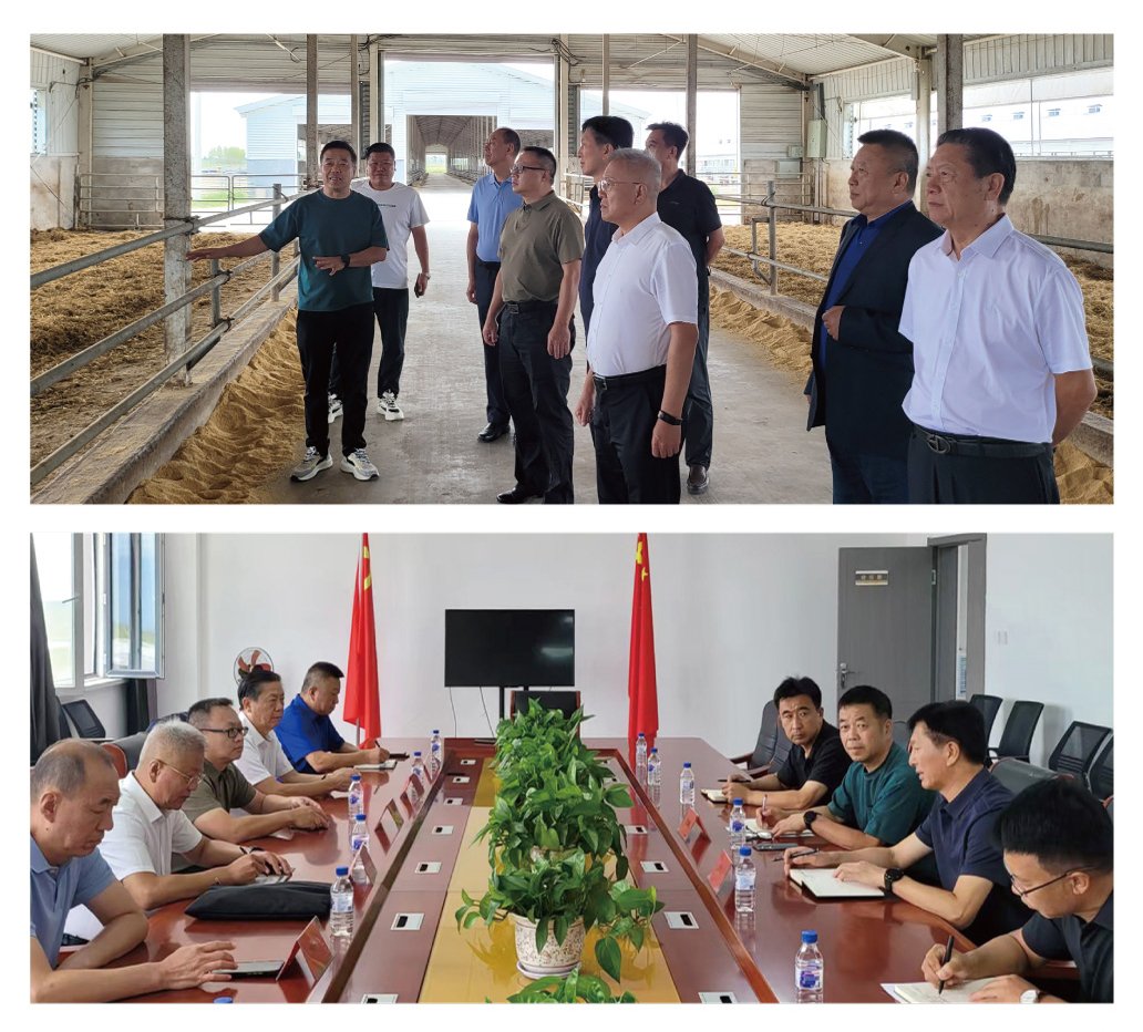 ��ҳ| 918�����ü����й��ٷ���վ