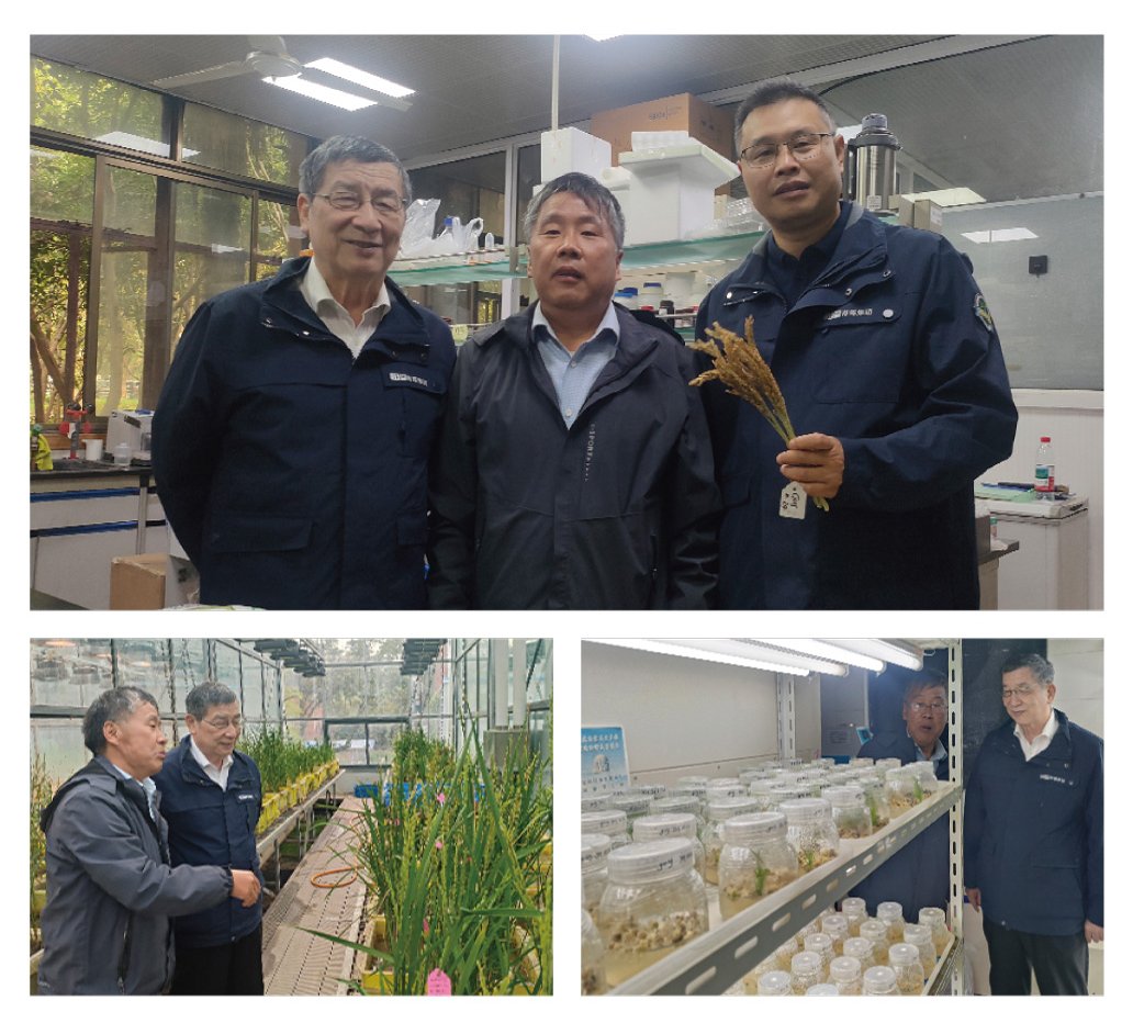 ��ҳ| 918�����ü����й��ٷ���վ